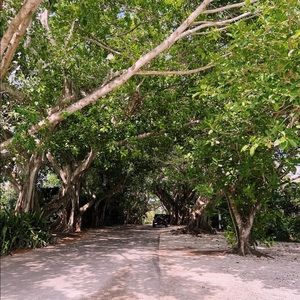 I am leaving to go back to college. Almost all offers will be accepted.